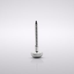 Inox tenting screws, Ø1.2, Kopf Hex 4 mm (2 Stück) 