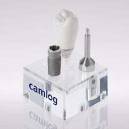 CAMLOG® Macro model SCREW-LINE implant (scale 3:1) 