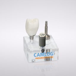 CAMLOG® Macro model PROGRESSIVE-LINE implant (scale 3:1) 