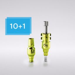 Angebot 10+1 iSy® Abformpfosten 