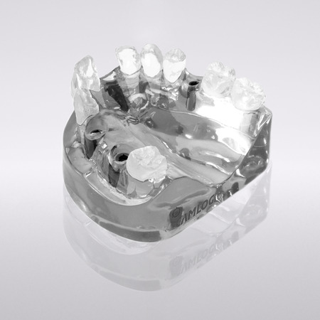 CAMLOG® Demonstration model, acrylic glass maxilla, 4x SCREW-LINE, Ø 4.3 