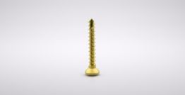 Titanium Micro Screws, Ø 1.3, Yellow anodized (5 units) 