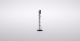 Titanium Micro Screws, Ø 1.5, Original grey (5 units) 