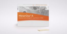 MinerOss™ A Cortical Strut, 25 x 10 x 1 mm 