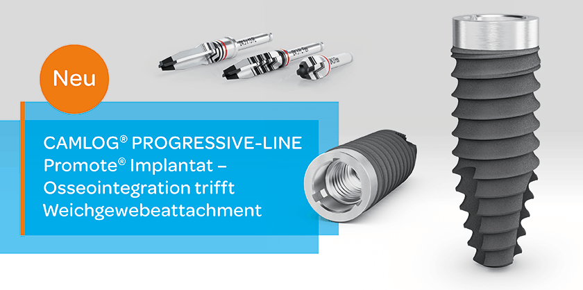 2026-02: PL Promote2